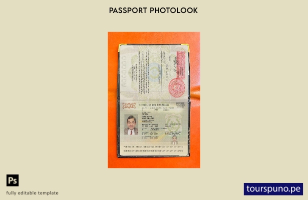 Plantilla de apariencia de foto de pasaporte de Paraguay lista para imprimir